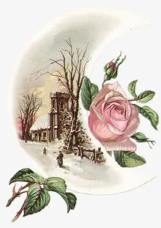 古典手绘月亮鲜花免抠