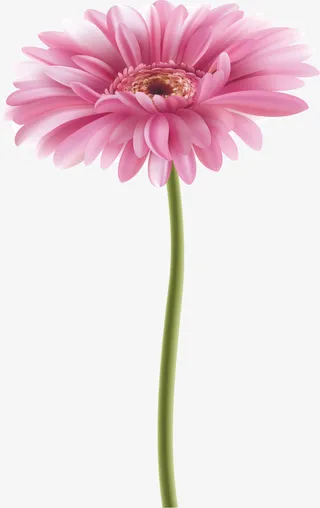 水彩画鲜花矢量免抠