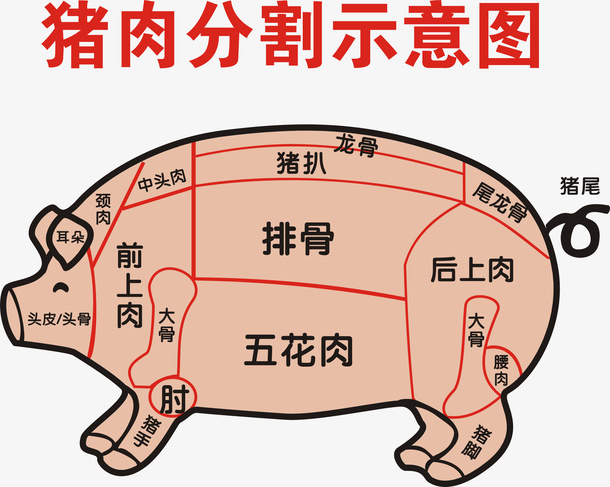 手绘猪肉分割标注图透明png免抠