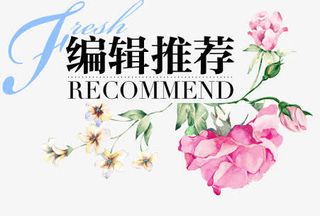 编辑推荐广告字体设计免抠