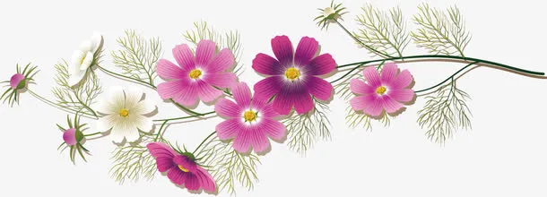 春暖花开免抠