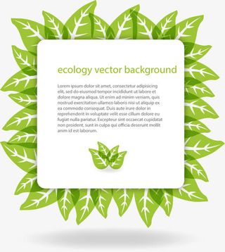 绿叶衬托的边框免抠