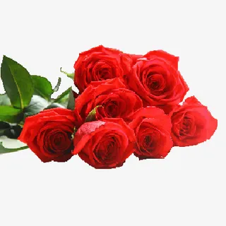 玫瑰花  情人节免抠