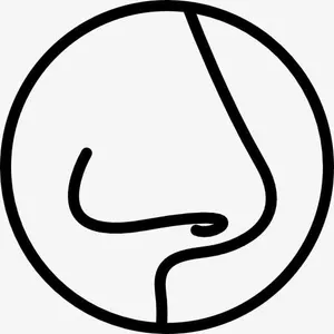 鼻子图标免抠