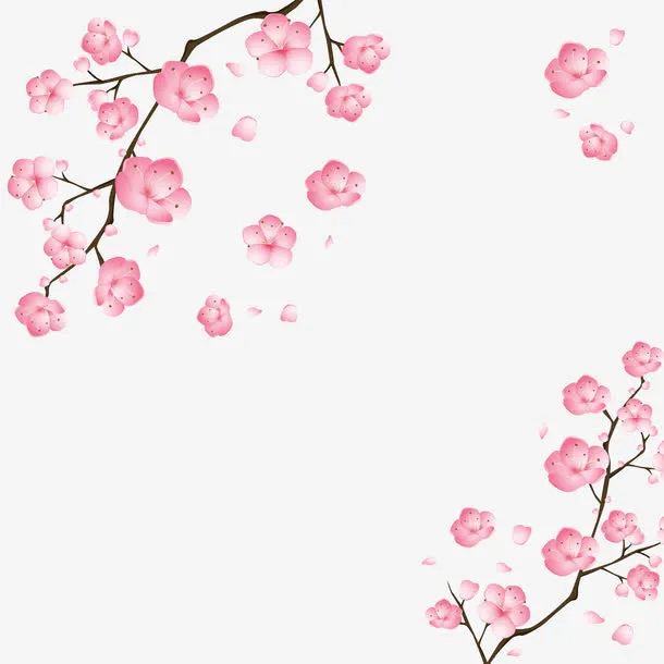 中国风梅花矢量免抠