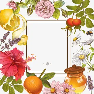 矢量水果树叶边框免抠