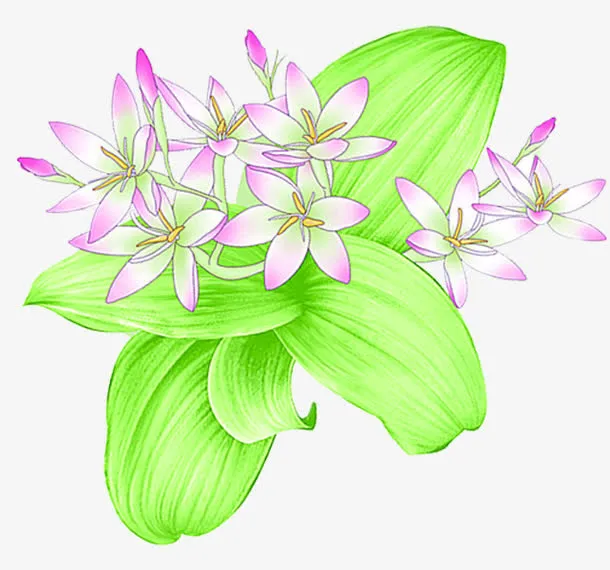 春天粉色手绘花朵叶子免抠