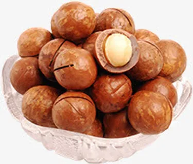 夏威夷果天猫商铺双11活动素材免抠