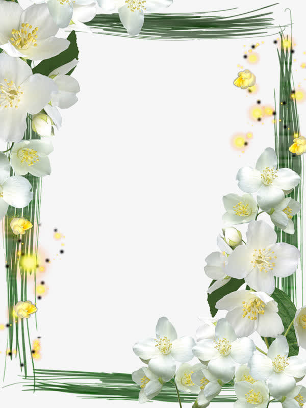 兰花边框免抠