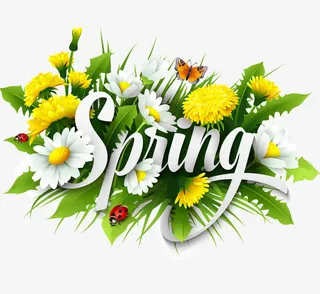 创意季节标签矢量素材免抠