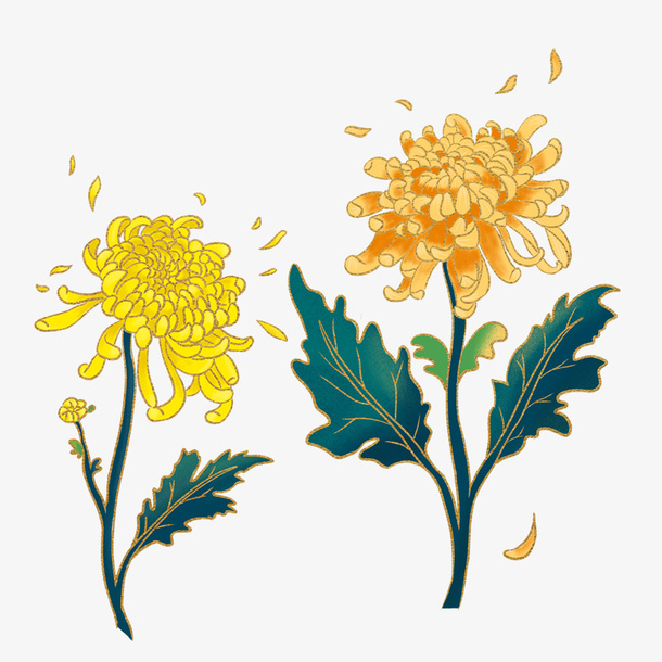秋天海报，重阳节，菊花免抠