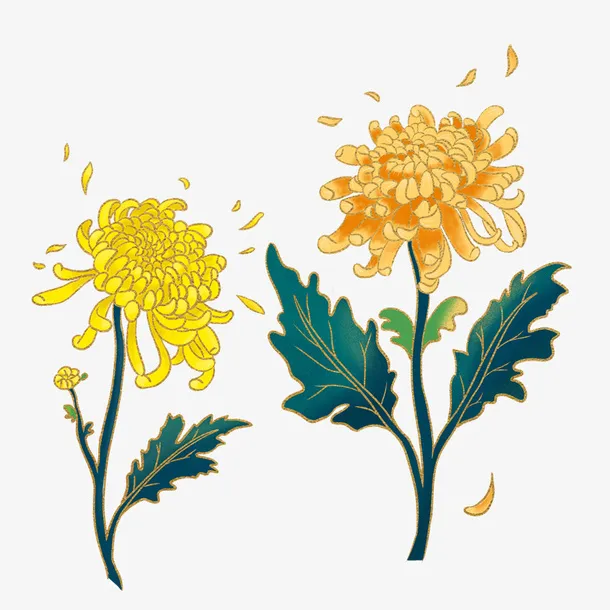秋天海报，重阳节，菊花免抠