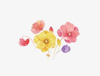 手绘水彩花植物免抠