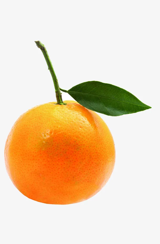 新鲜美味免抠