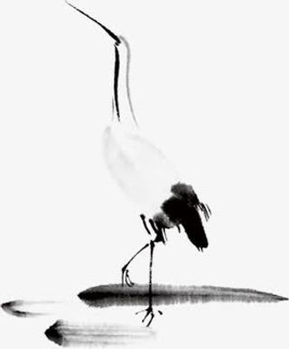 黑白仙鹤丹顶鹤造型免抠