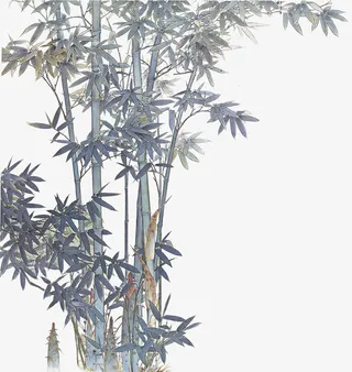 免扣工笔竹子免抠