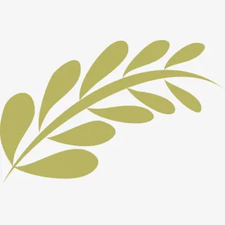 手绘 鲜花 动物 花瓣 蜡笔元免抠