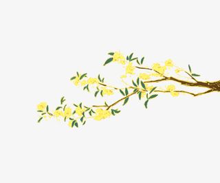 国潮桂花植物月桂飘香免抠