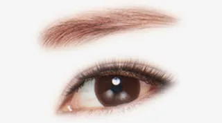 淡色人物眉毛免抠