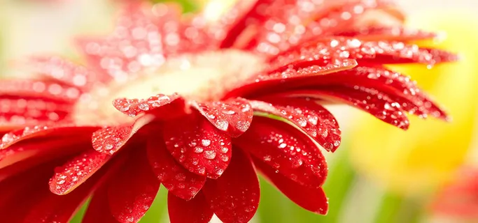 淘宝背景图高清