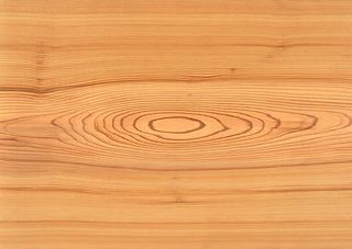 木板 木纹 木头免抠