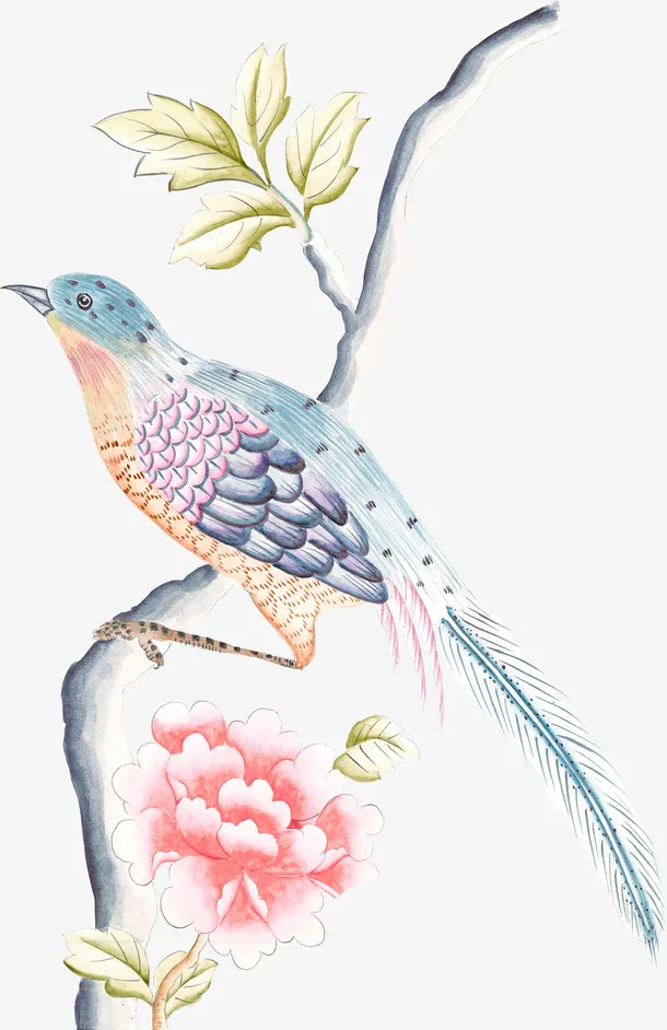 中国风水彩花鸟枝条免抠