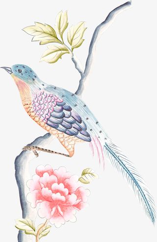 中国风水彩花鸟枝条免抠