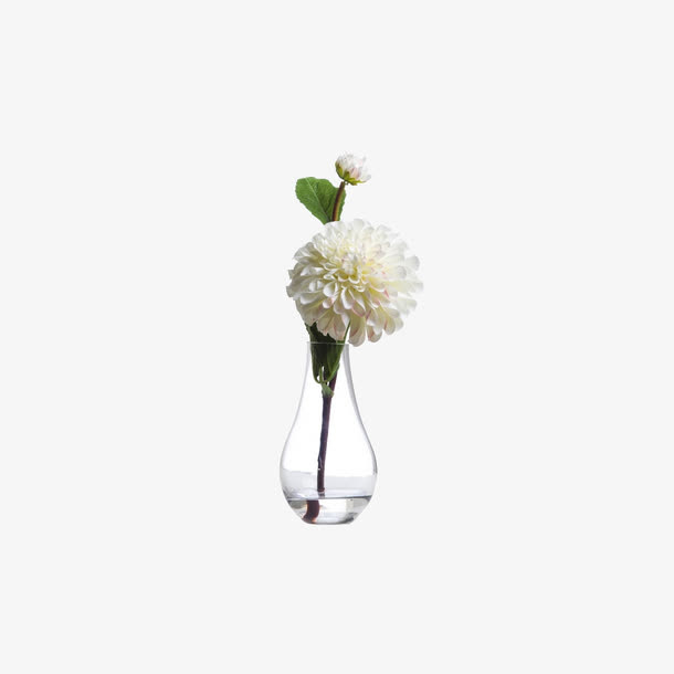 欧美流行插花 绿植物 鲜花软装免抠
