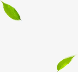 绿色纷飞树叶飘散免抠