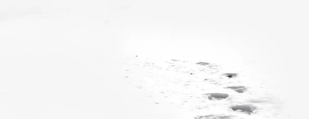 扁平风格白色的雪地免抠