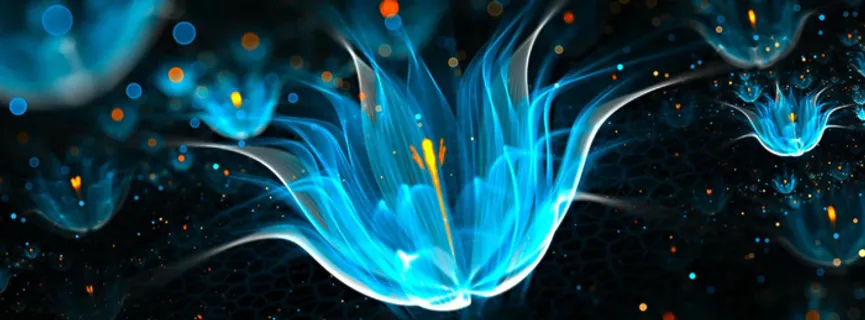 炫彩花瓣光效背景图高清