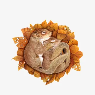 鼬鼠睡觉手绘画素材图片免抠