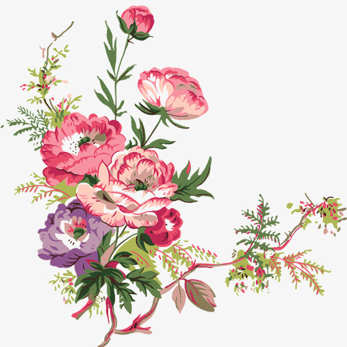 水彩手绘植物。免抠