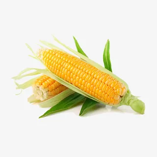 玉米免抠