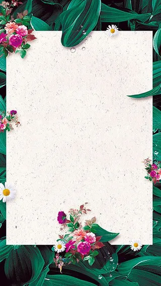 小清新花草边框H5背景素材高清