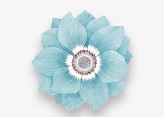 清新蓝色花朵免抠