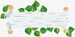 白桦树风格绿叶子标题背景矢量图