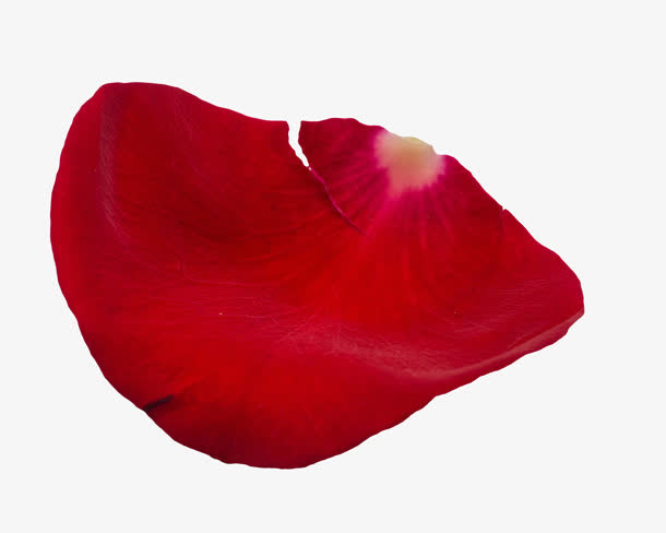 实体花瓣红色扇形免抠