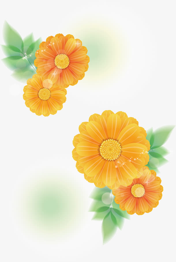 黄色菊花矢量图免抠