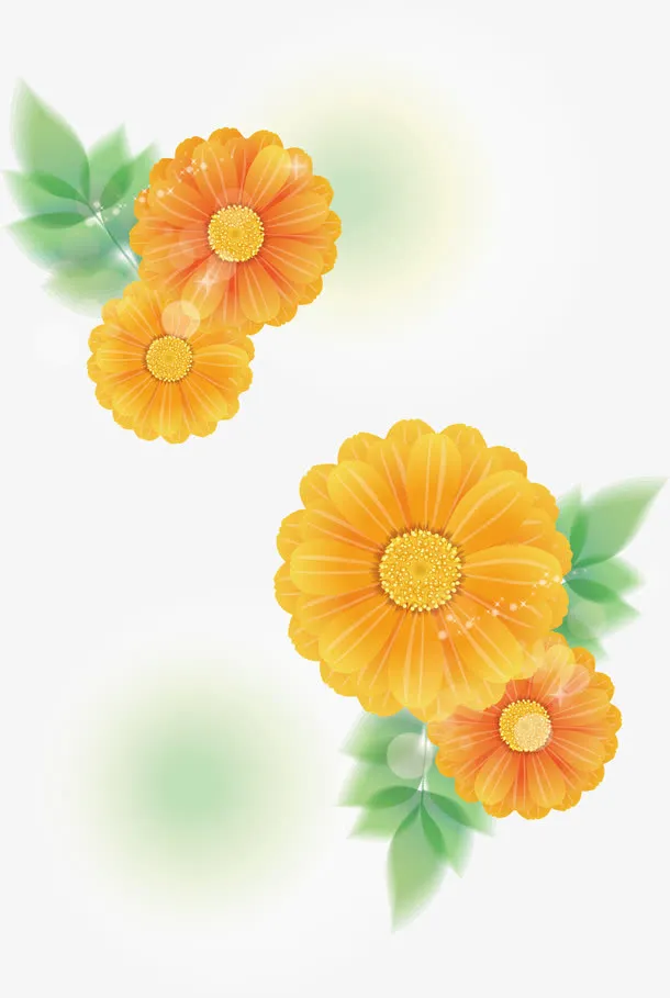 黄色菊花矢量图免抠