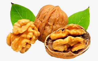 核桃  核桃仁免抠