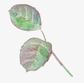 水墨油画水彩树枝树叶免抠