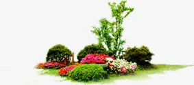 春季踏青花海植物免抠
