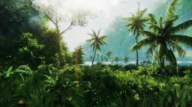 热带丛林椰子树海报背景