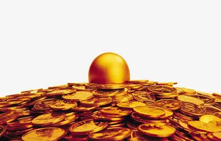 钱堆里的金蛋免抠