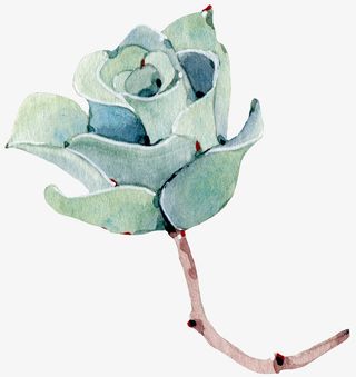 手绘卡通绿色多肉免抠