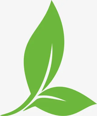 茶叶装饰元素免抠