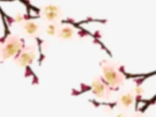 朦胧模糊形梅花免抠