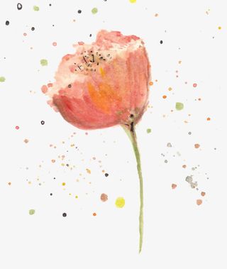 清新淡雅小橘花免抠