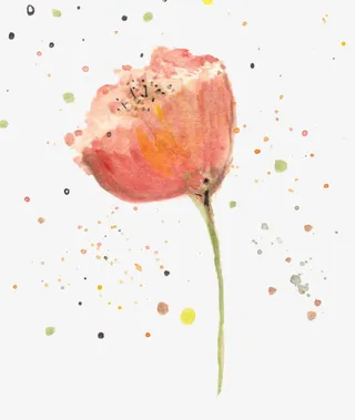 清新淡雅小橘花免抠